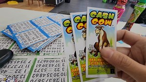 2K views · 75 reactions | Playing Cash Cow pull tabs #howto #enjoy #gamecommunity | Bingo Pull Tab Addict | Facebook
