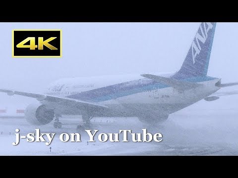 [4K] Heavy Snow! 1 Hour Plane Spotting at New Chitose Airport in Winter / 雪の新千歳空港 JAL ANA