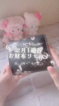 高校生2月1週目お財布リセット❤︎ #家計管理 #お小遣い #お給料日ルーティン #貯金 #asmr #節約 #jk #バインダー貯金 #週予算 #家計簿