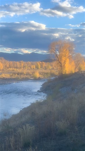 Evening view along the Gros Ventre River about a week ago. Grand Teton National Park. | Montana Call of the Wild Photography