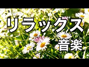 【癒し音楽】自律神経に優しいオルゴールのヒーリングミュージック、心が落ちつくリラックス音楽、不安やストレス緩和のための癒しBGM/睡眠用・作業用・勉強用BGM