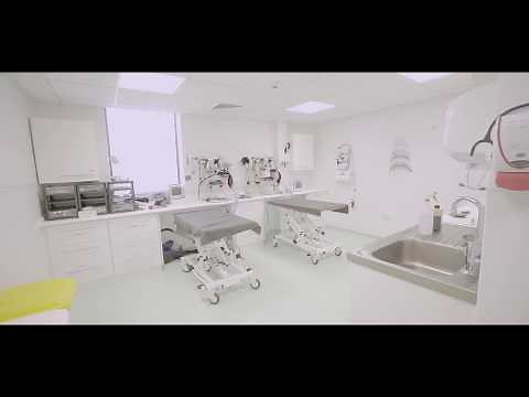 Paragon Veterinary Referrals