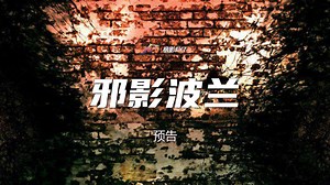 通灵游戏招惹邪灵 波兰伪纪录恐怖片《邪影波兰》Haunted Poland (2011) 预告