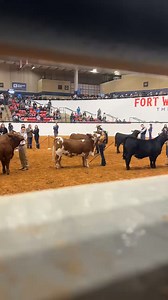 13K views · 85 reactions | Ryan Rash on Reels | Facebook