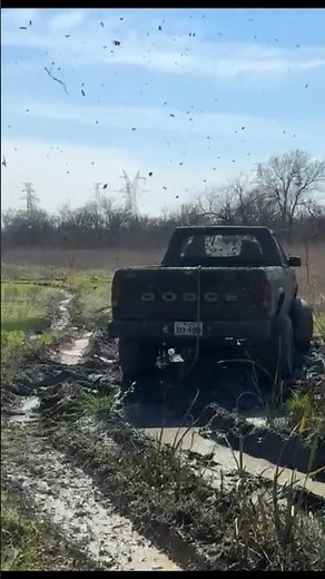 Dodge Dakota 4x4 #muddin #mudding #offroading #offroad #mud #dodge #jeep #ram #truck #trucks #4x4