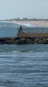 5.4K views · 54 reactions | Sebastian Inlet fishing | Sebastian Daily | Facebook