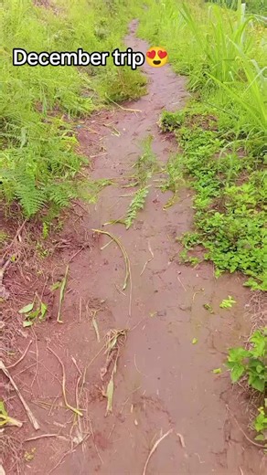 Zawadi ♥️🌹 (@zawadi.mwanyasi7)’s videos with original sound - Yona chilolo