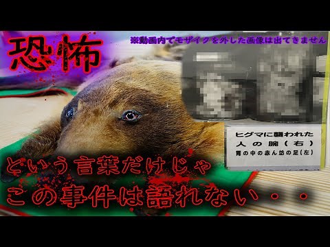三毛別ヒグマ事件の惨劇は札幌でも起こっていた！丘珠ヒグマ事件をじっくり解説する【前編】 The famous bear attack in Japan eng