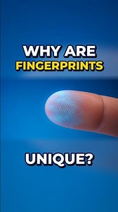 Why Do Humans Have Fingerprints? 🖐️