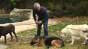 Cesar 911: Season 3 Episode 8 Panic Attack