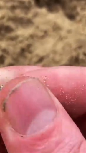 There’s a common misconception that beach detecting is just about wandering aimlessly hoping for a lucky "beep." In reality, it’s a delicate dance between physics, local history, and reading the rhythm of the ocean. ​Here is why there is a true art to the hunt: ​1. Reading the "Reading" ​The beach isn't a static sandbox; it’s a living map. The real pros don't just look at the sand—they look for cuts. A "cut" is where the tide has pulled away layers of lighter sand, exposing the heavy "black sand