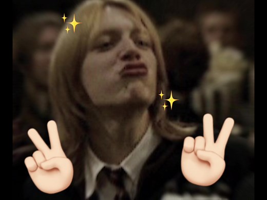 BOOOOOOO 😡 #fredandgeorgeweasley #fredweasley #georgeweasley #weasleytwins #harrypotter #yuleball