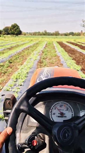 kubota mini tractor with shaktiman reverse forward rotavator...🔝❤️.! #explore #newpost #minitractor