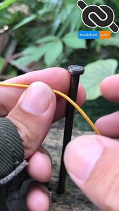 💯 Best String Line Hitch #knotshort | KNOT SHORT