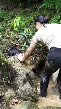 Traditional fish trapping methods of ethnic people in Vietnam & Daily life of a single mother