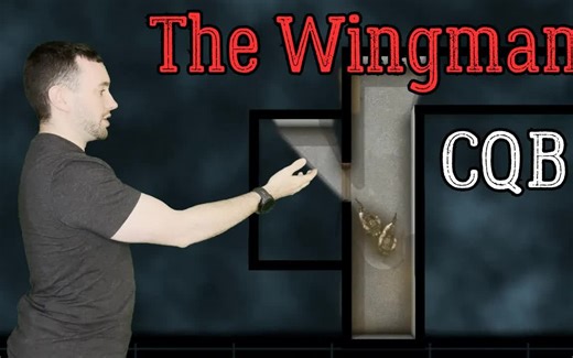 CQB - The Wingman Concept