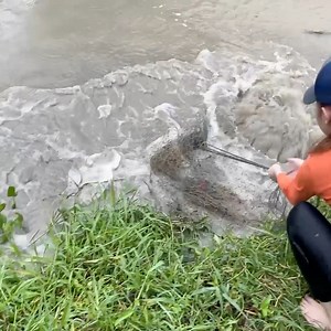 9.9M views · 167K reactions | Amazing Cast Net Fishing Skills For Massive Dragon Fish | Survival with Emma | Facebook