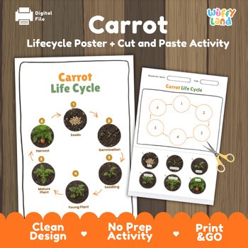 Carrot Life Cycle Activity Worksheet Plant Science Gardening Real Photos
