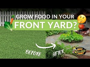 Growing Food in a Front Yard Garden 🎃🌱