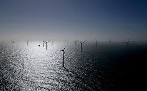 Germany's offshore wind roll-out stalls in H1, lobbies want auction design reforms