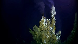 What is an extreme environment?