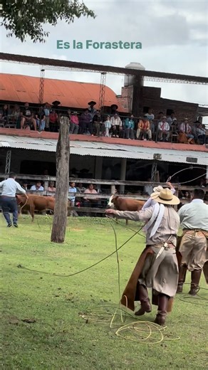 18K views · 208 reactions | La Forastera | Cuadrilla La Forastera | Facebook