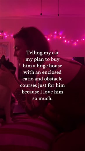 Building a Dream Home for My Cat