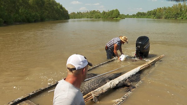 Watch Swamp People Season 12 Episode 4 | HISTORY Channel