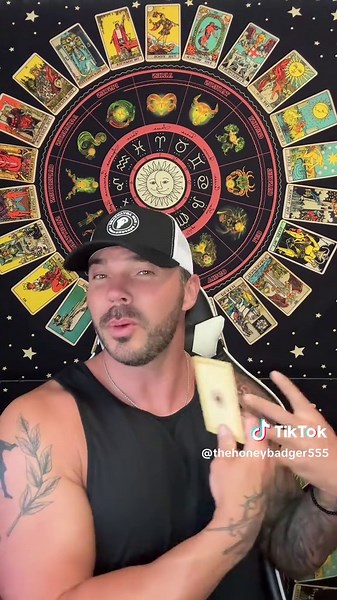 Tarot Reading Insights from The Honey Badger