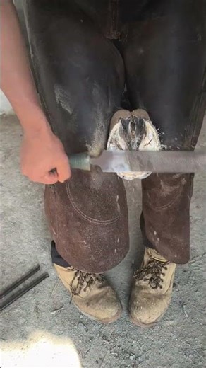 trimming the hoof, perfect balance ♎ satisfying ✨ ASMR work video . Restoration #satisfying #shorts