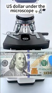 I put a $1 Bill under a Microscope... and I’m SHOCKED! 🤯 #microscope #usa