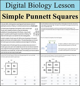 Digital Learning Activity - Simple Punnett Squares - Distance Learning Ready