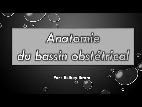 Anatomie du bassin obstétrical
