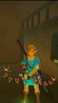 2 Glitches that still work in BOTW in 2025