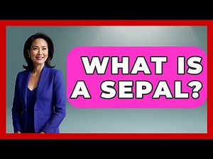 What Is A Sepal? - The Plant Enthusiast