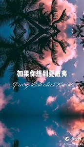 如果你想到夏威夷，你会想起阳光、沙滩、和平和我#米卡 #向全世界安利