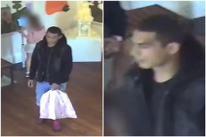 CCTV shared after tablet explaining exhibits to guests stolen from Rotherham museum