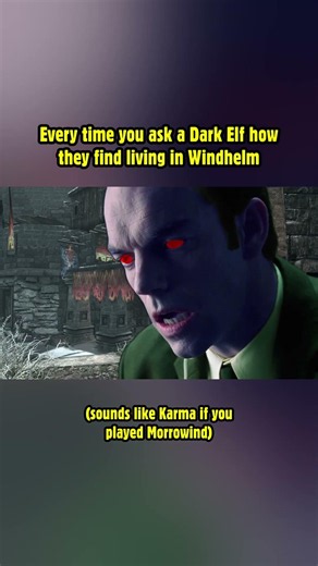 Every time you ask a Dark Elf how they find living in Windhelm! #skyrim