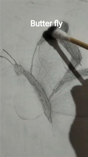 butterfly sketching🦋