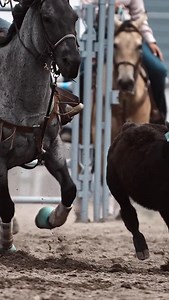 Yeoooow 🔥🔥🔥 I bet you noticed the @alliance.equine boots on the 4th rewatch — quiet gear for fast runs → use HANG10 at checkout #breakaway @nicolavalleyprorodeo — 🤠 COWBOYS & CONTRACTORS: Tag yourselves or DM for credit — pinned comment goes to you. 💬 Conversation encouraged! 🚫 Leave a dick comment? Blocked faster than an open gate. Thx. 🐎 No animals harmed. All riders and livestock are professionals. 📌 Do not repost without explicit credit. 🎥 Captured, not generated. Shot on location, 