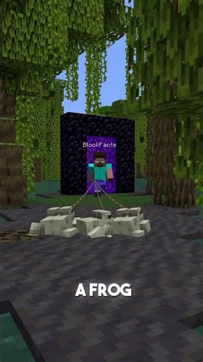 Never Take A Frog To The Nether 🤫 #minecraft