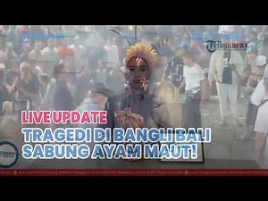 🔵Penyelenggara Sabung Ayam Tewas Ditusuk di Bangli Bali, Duel Berdarah Pecah di Arena