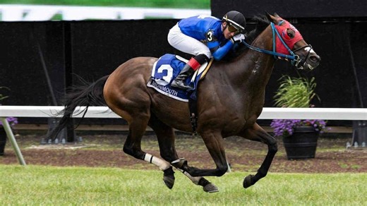 Palmyra jockey may never ride again after spill on track leads to spinal injury