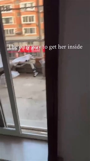 Cat lover on Instagram: "#catlife #millionviews #cat#viral #deceplin"