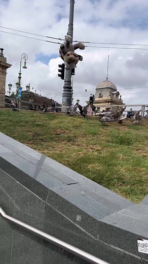 Iffy and Morton messing with the Birds🐦 Sub to our YT channel Super Mario Richie! 🔴 #iggykoopa #mortonkoopajr #koopalings #supermariorichie #supermario #crazymariobros #budapest #europe #koopalingsplush #koopalingsedit #koopakids #birds #travel #funny #fyp #foryoupage #4upage #koopa #bowser