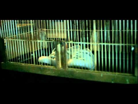 Mark Ronson - Stop Me (Version 1) (2007) | IMVDb