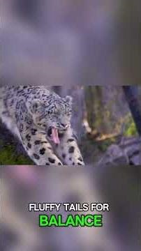 Top 10 FASCINATING facts about Snow Leopards #SnowLeopard #AnimalFacts #WildlifeShorts #Shorts