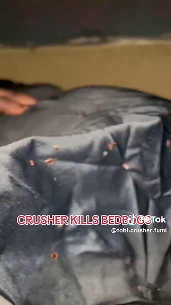 Tobi Crusher Fumigation on TikTok