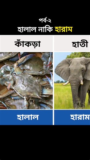 1.4M views · 11K reactions | হালাল নাকি হারাম পর্ব-২ #হালাল #হারাম #HALAL #halalfood #Haram #halalfoodie #halaleats #haramain #islamicreels #islamicreels2024 #ইসলামিক #ইসলাম #মুসলিম #ইসলামিকভিডিও | Data Comparison Bd | Facebook