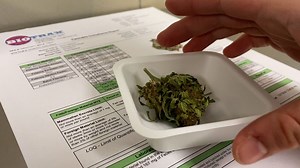 Western New York lab shows what goes into testing recreational marijuana